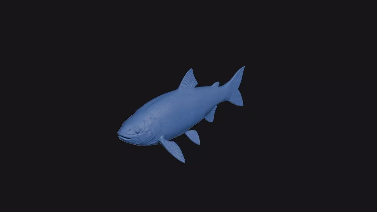 Oregon Chub 3D print model