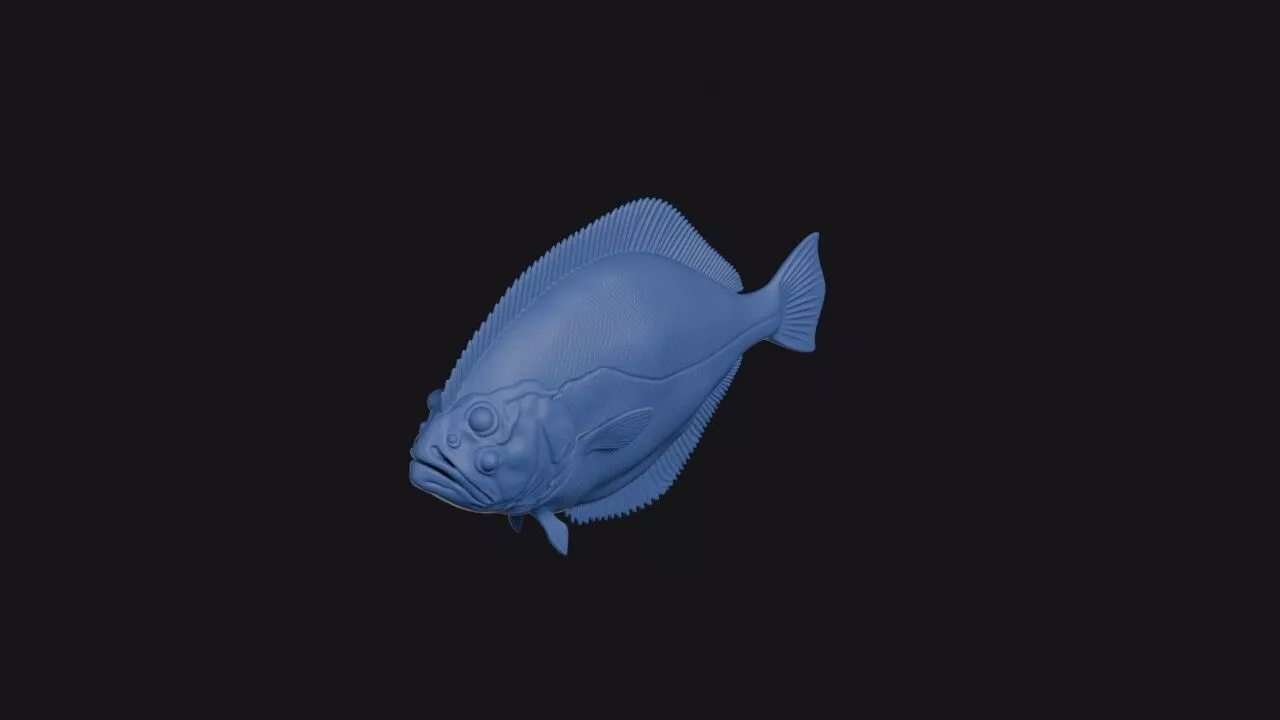 Olive Flounder 3D print model