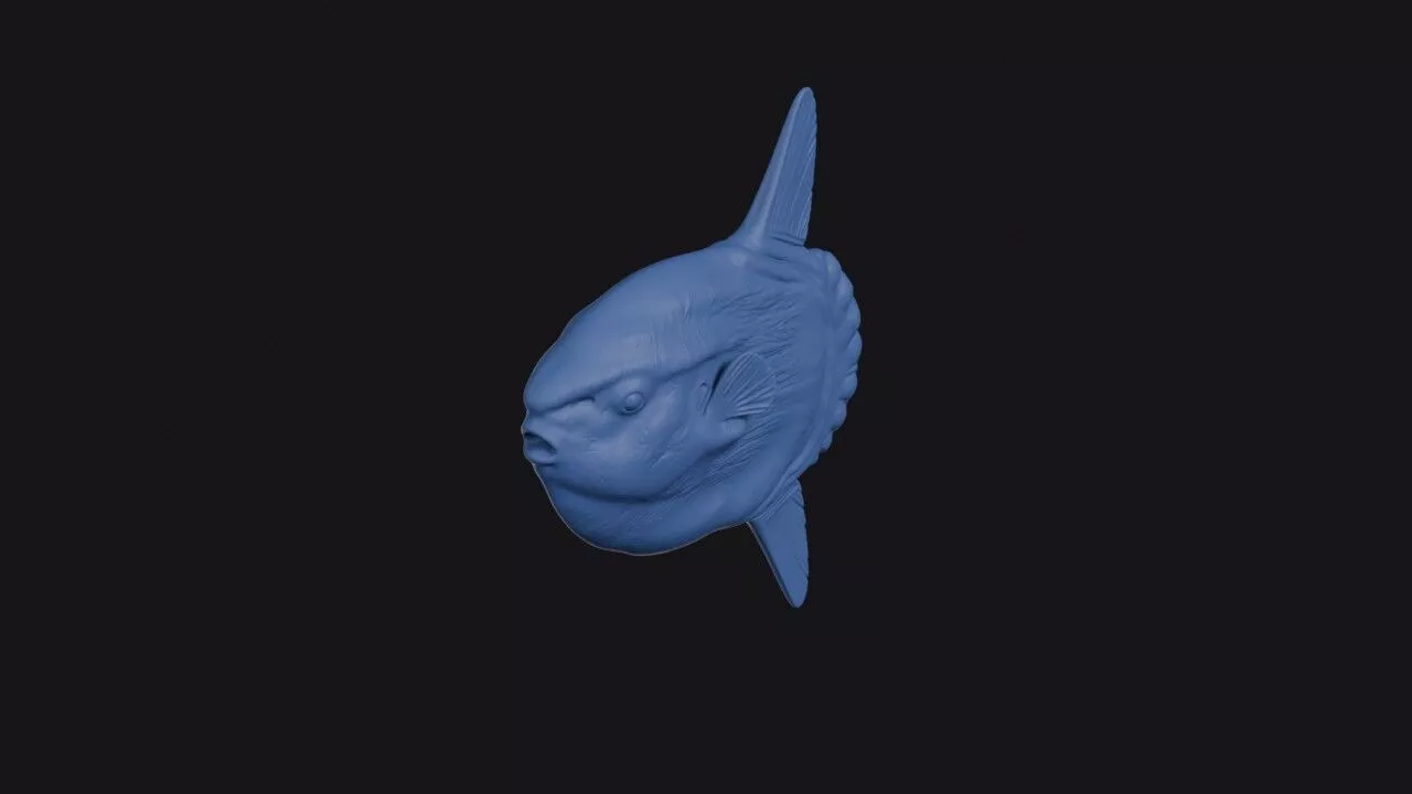 Ocean Sunfish 3D print model