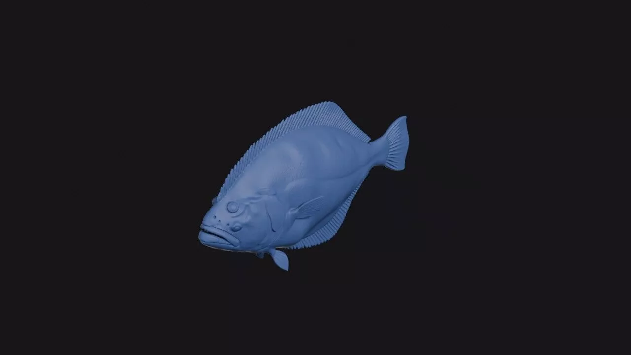 Northern Rock Sole 3D print model