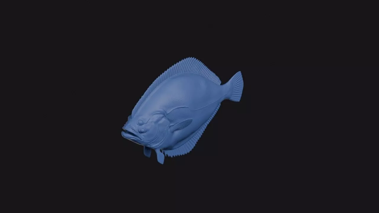 New Zealand Sand Flounder 3D print model