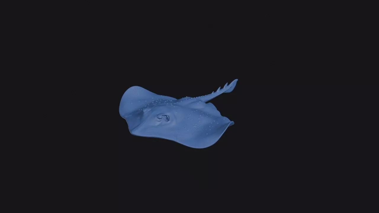 New Ireland Stingaree 3D print model