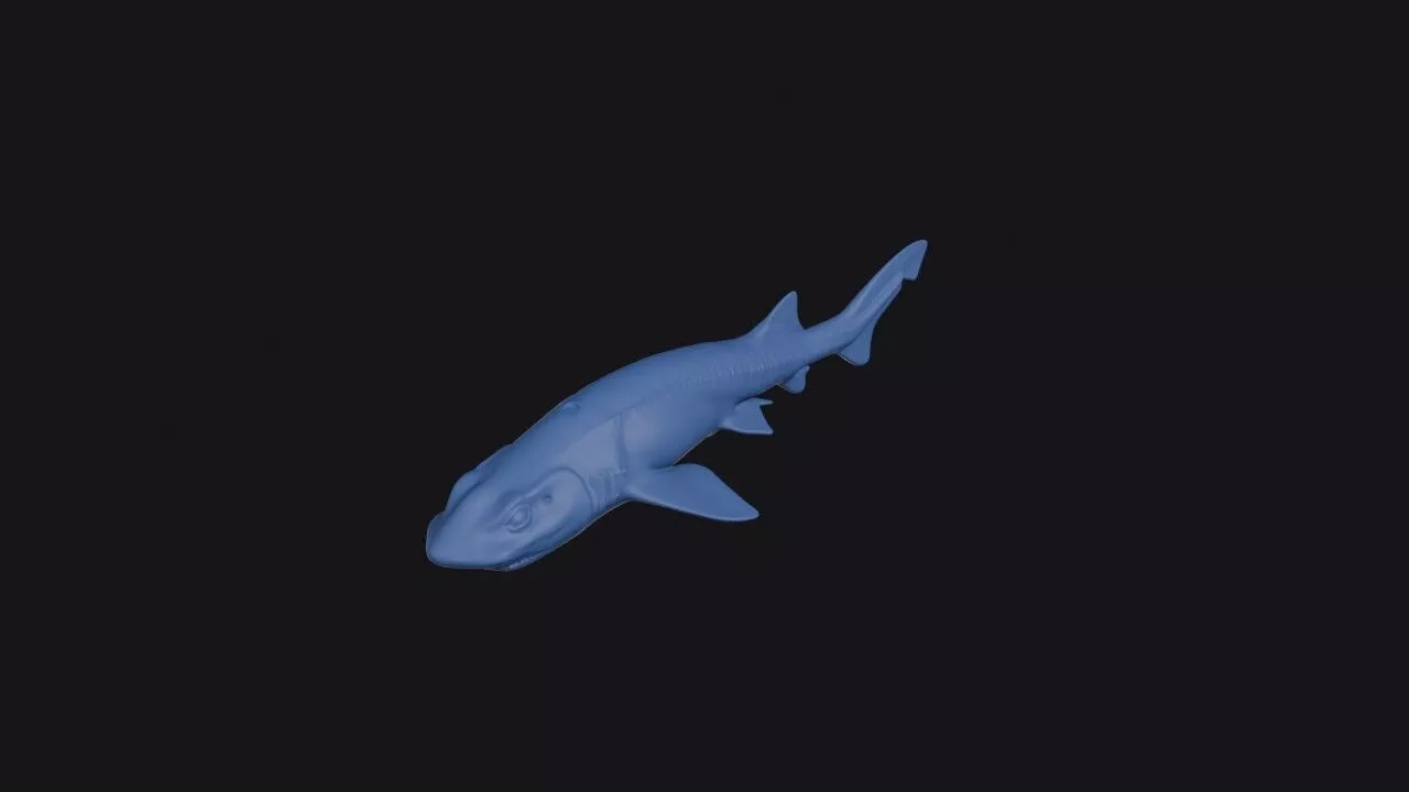 New Caledonia Catshark 3D print model