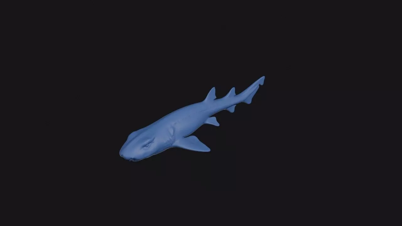 Necklace Carpetshark 3D print model