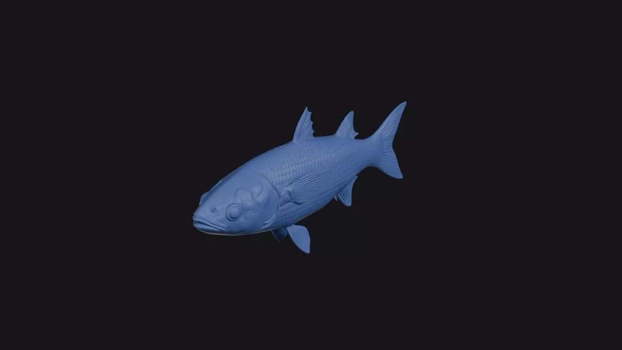 Mugil Thoburni 3D print model