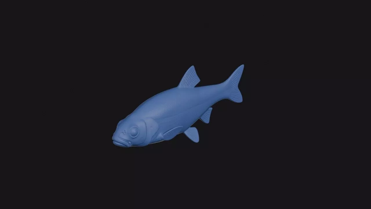 Moapa Dace 3D print model