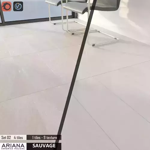 ARIANA SAUVAGE Set 02