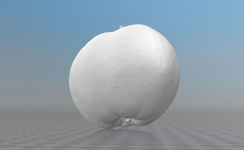 Ligol apple - 3-  laser scanned 3D model_6