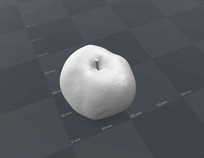 Ligol apple - 3-  laser scanned 3D model_3
