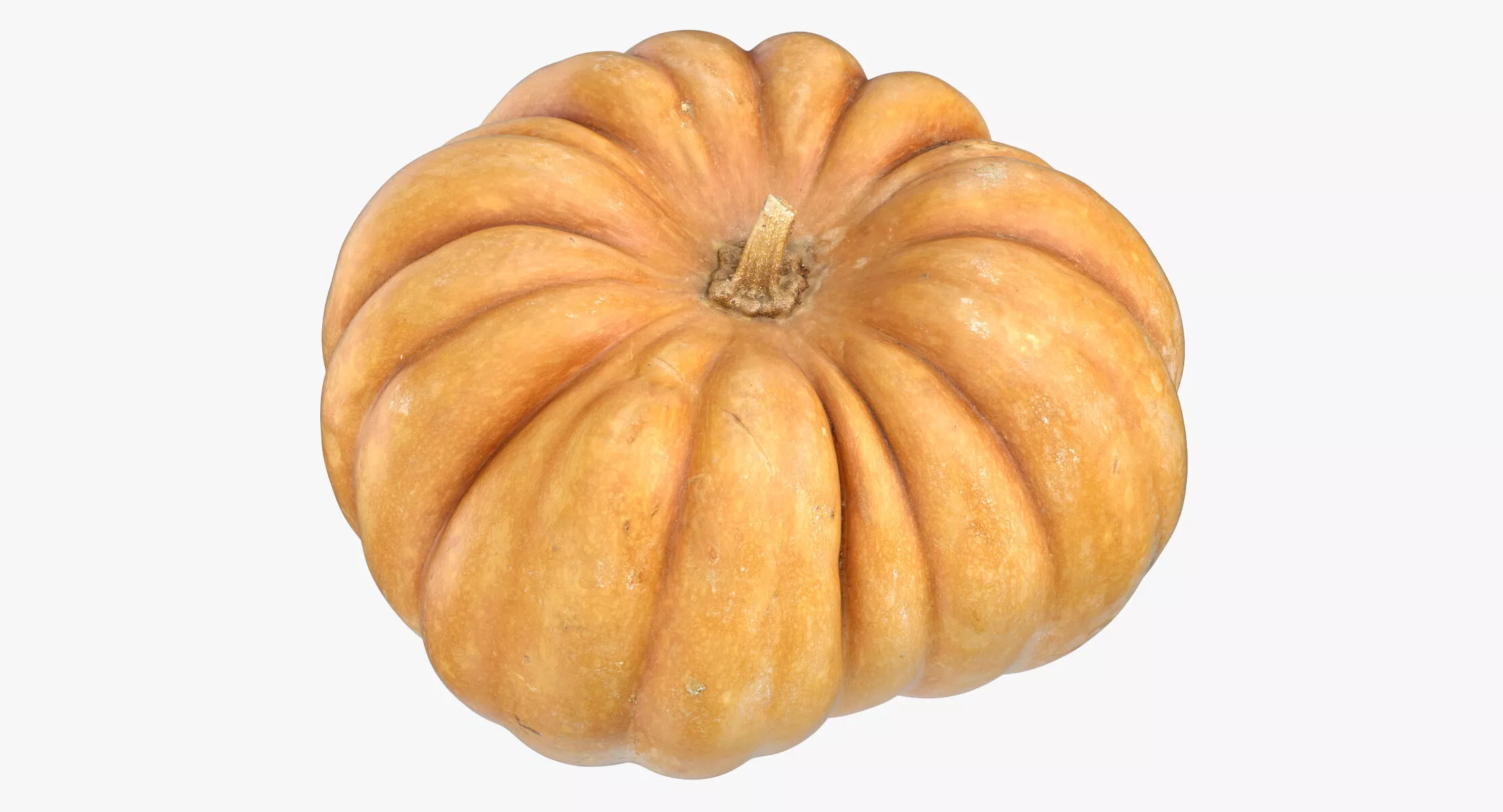 Pumpkin 05 3D model