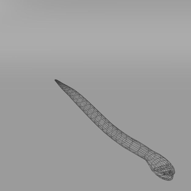 Snake Low-poly 3D model_6