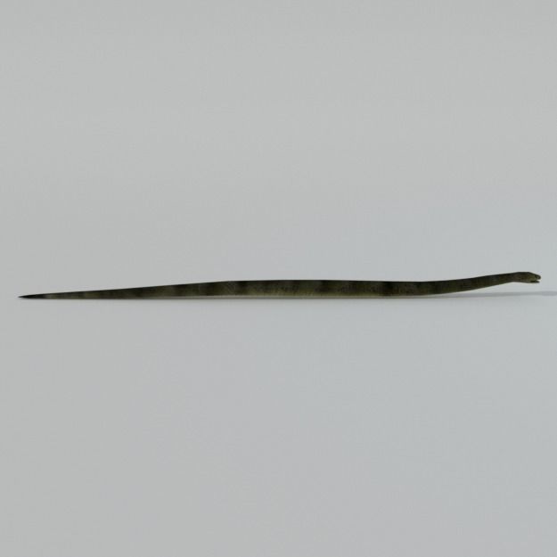 Snake Low-poly 3D model_1