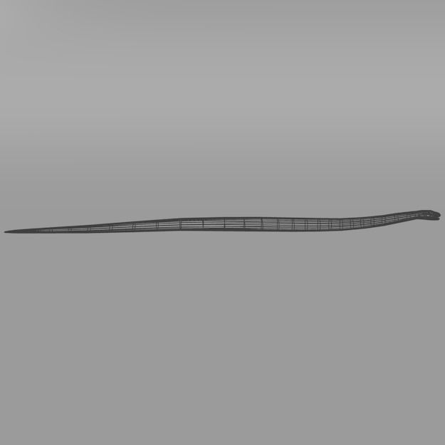 Snake Low-poly 3D model_5
