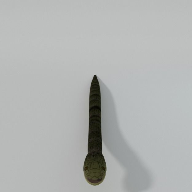 Snake Low-poly 3D model_4
