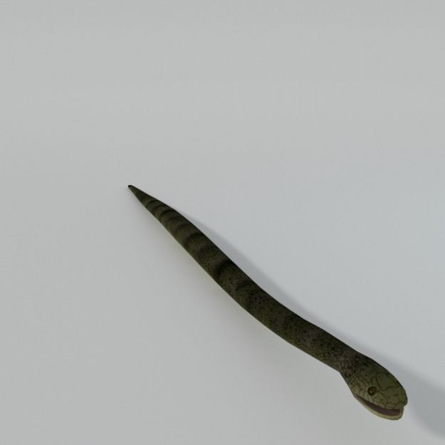Snake Low-poly 3D model_0