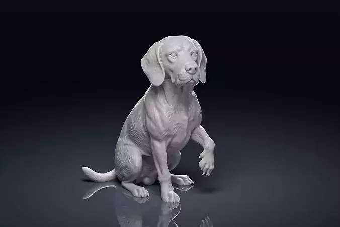 Detailed Beagle Dog 3D Print Model