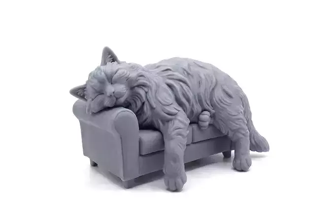 The cat on the sofa