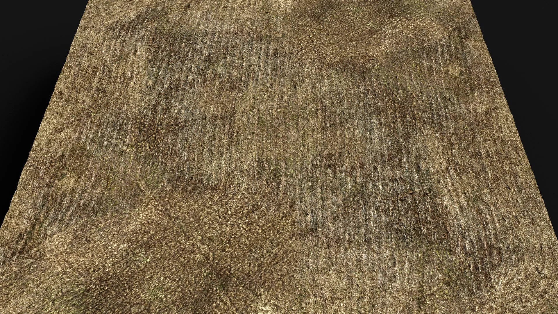 terrain ground grass bushes patch pt10 PBR photogrammetry Low-poly 3D model