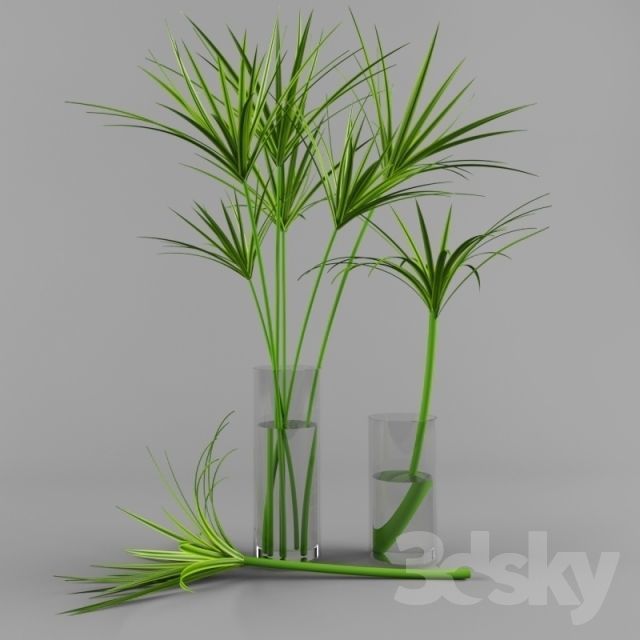 plant palm tree in vase Free 3D print model