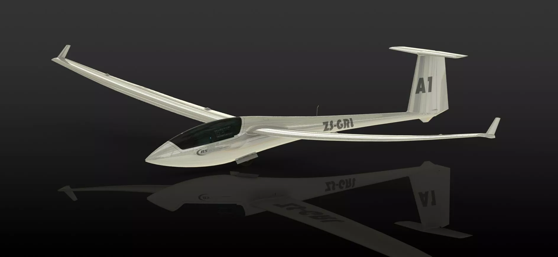 ASW 20 Glider SolidWorks Model 3D model