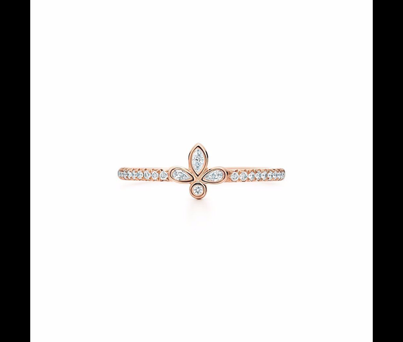 FLEUR DE LIS Band Ring all size stl 3D print model