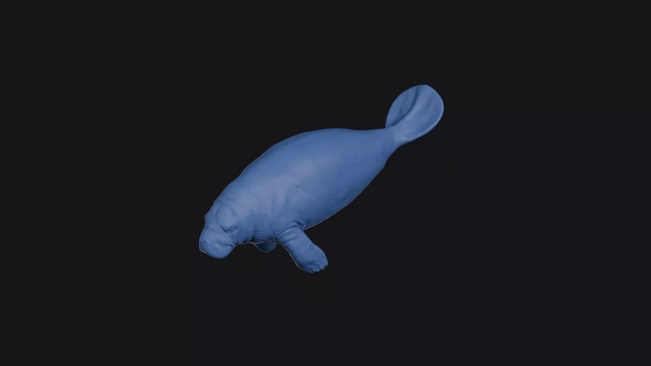 West Indian Manatee 3D print model