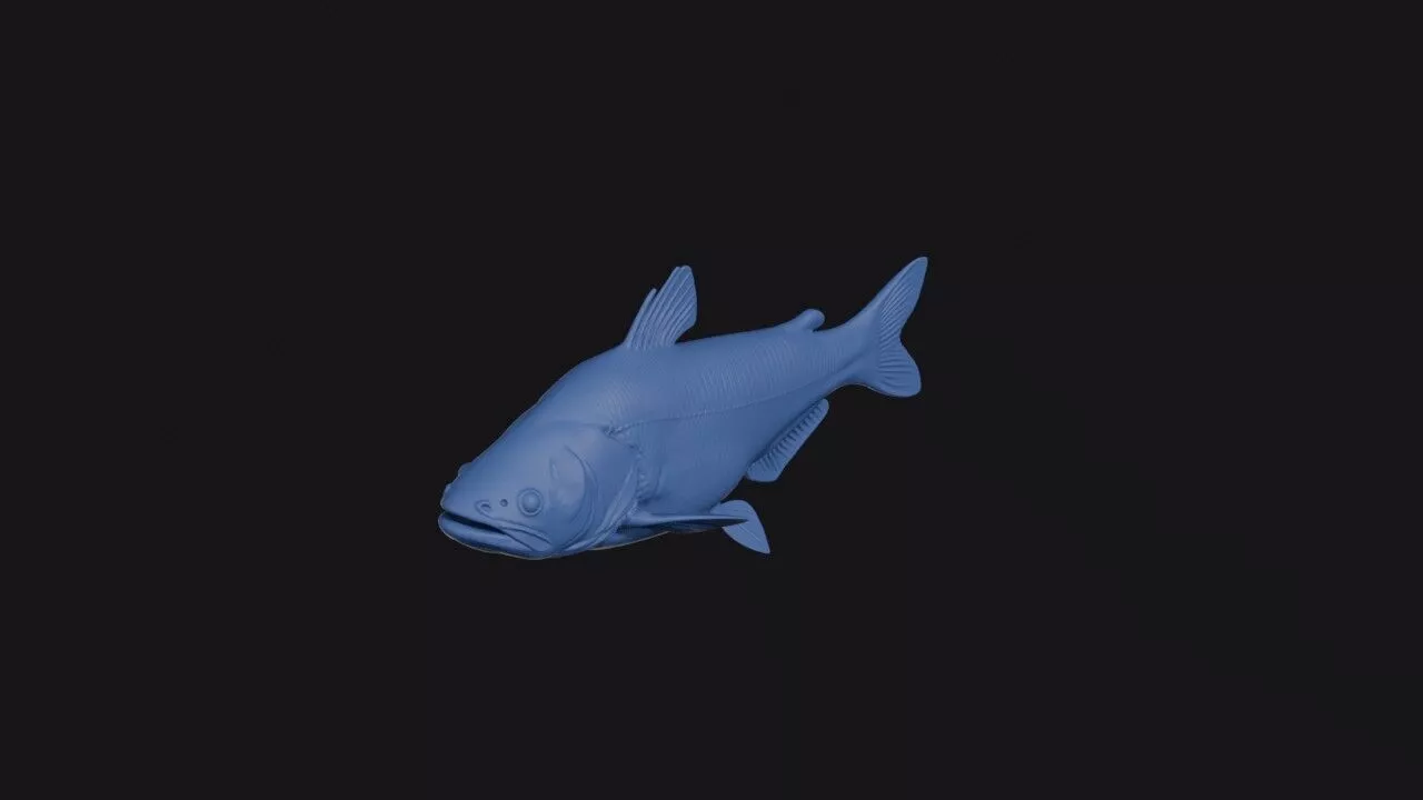 Wallagonia Micropogon 3D print model