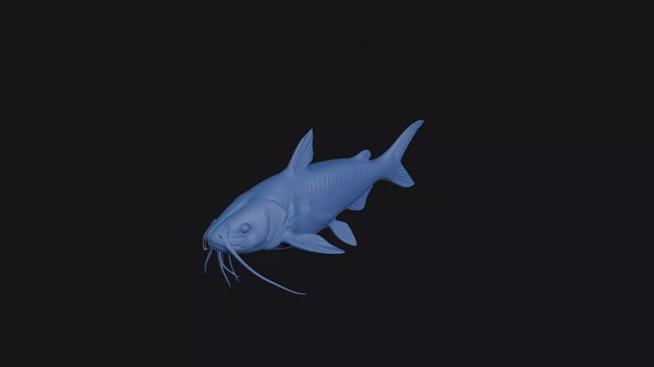 Threadfin Sea Catfish 3D print model
