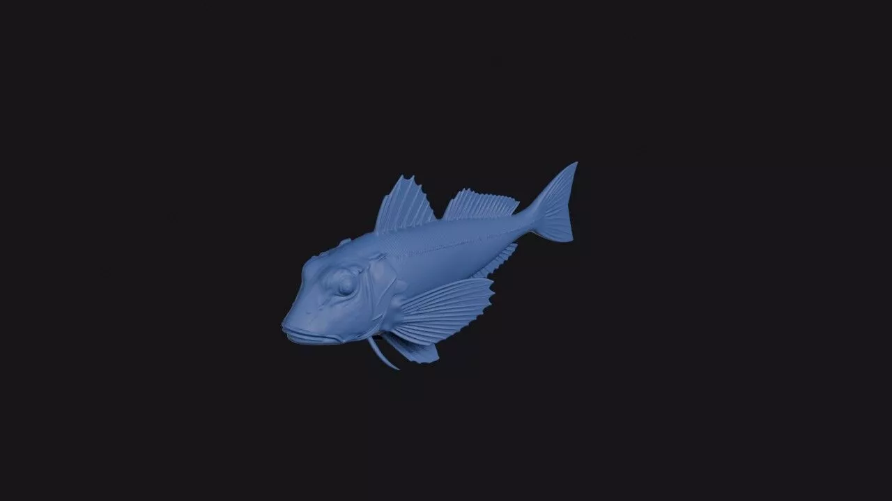 Streaked Gurnard 3D print model