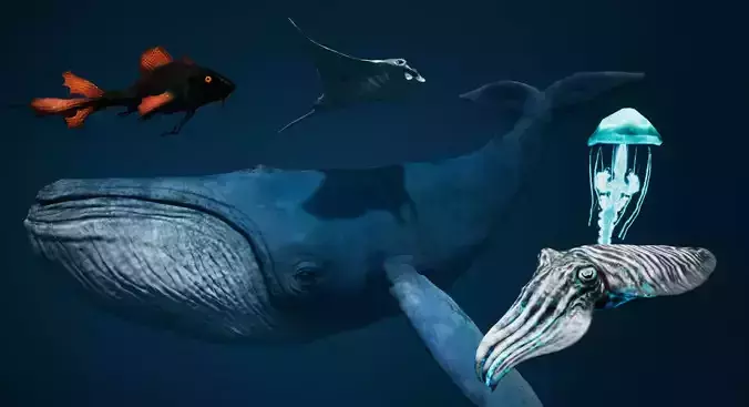Sea Creature Pack Low-poly 3D model