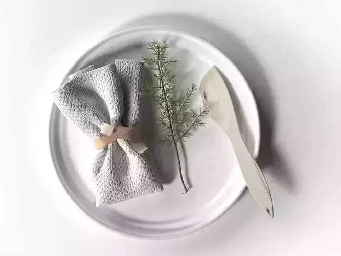 Plate with Napkin Rosemary and Wooden Knife 3D model