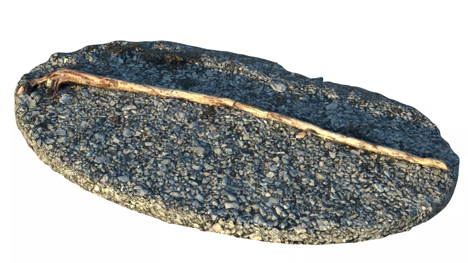 Driftwood on Rocky Beach 3D model