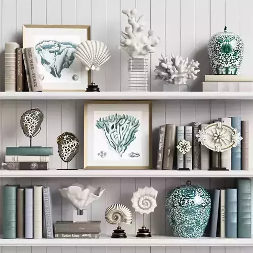Decor Set 7 shelf with seashells and books 3D model
