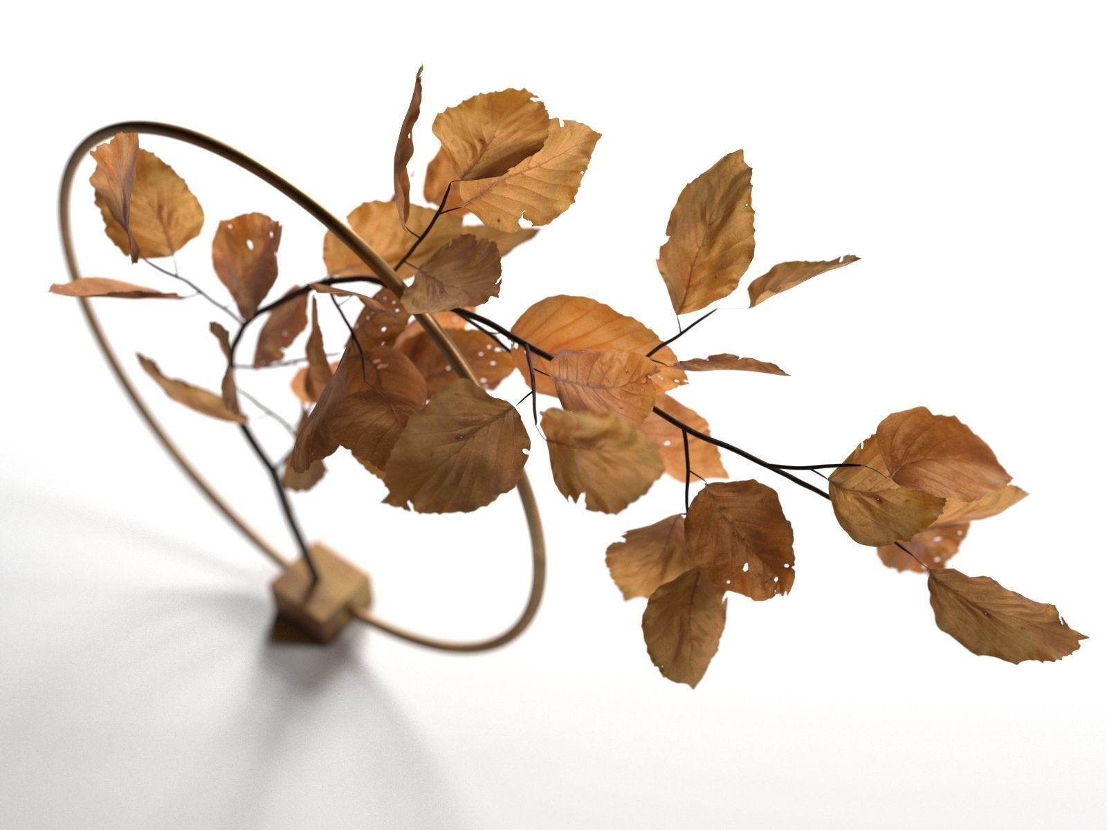 Natura Morta Circular Support in Brass 3D model_1