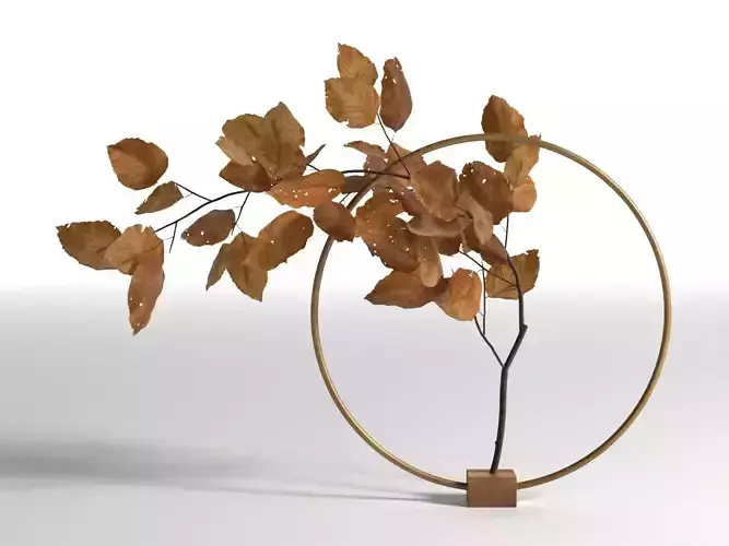 Natura Morta Circular Support in Brass
