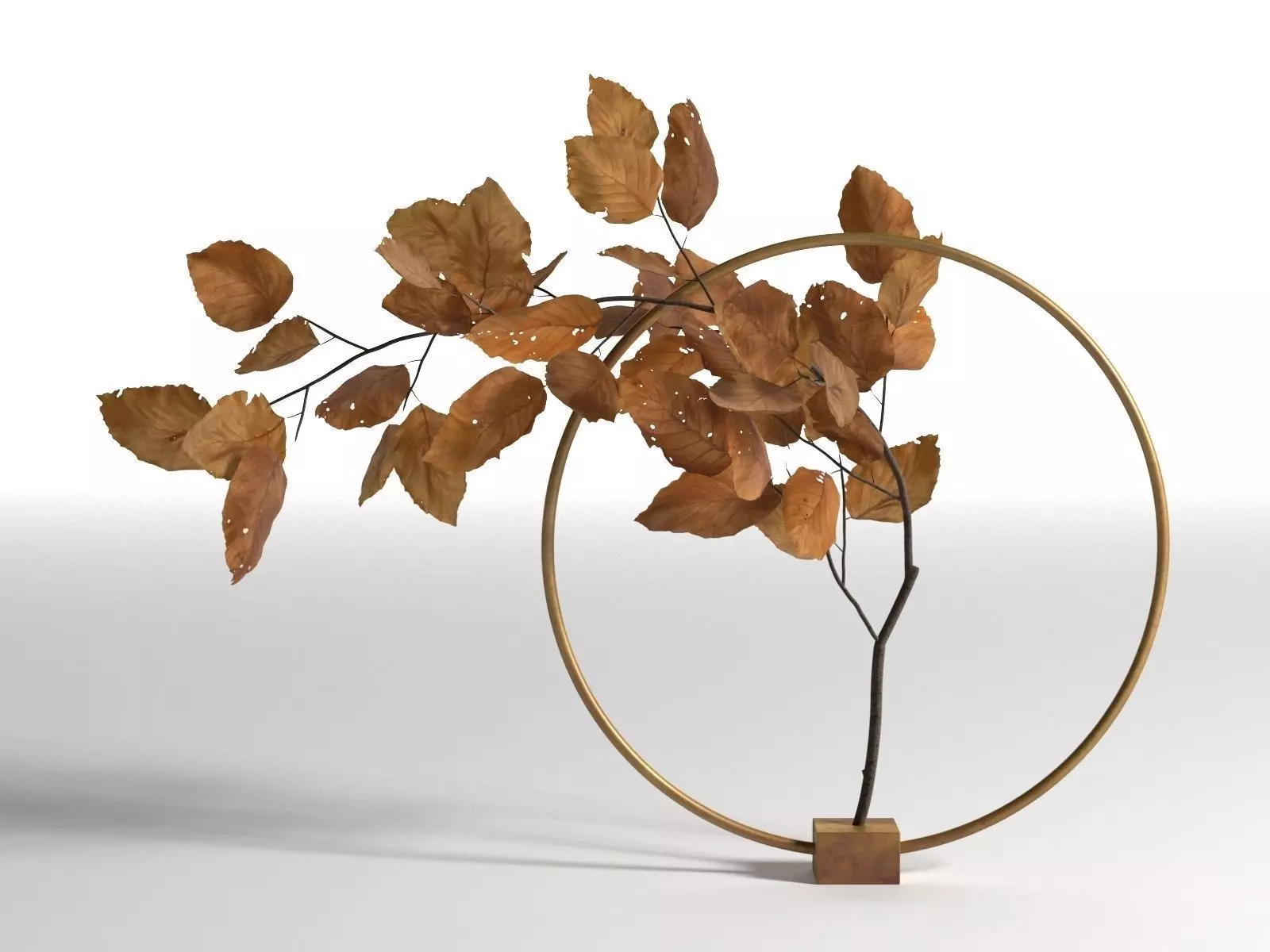 Natura Morta Circular Support in Brass 3D model_0