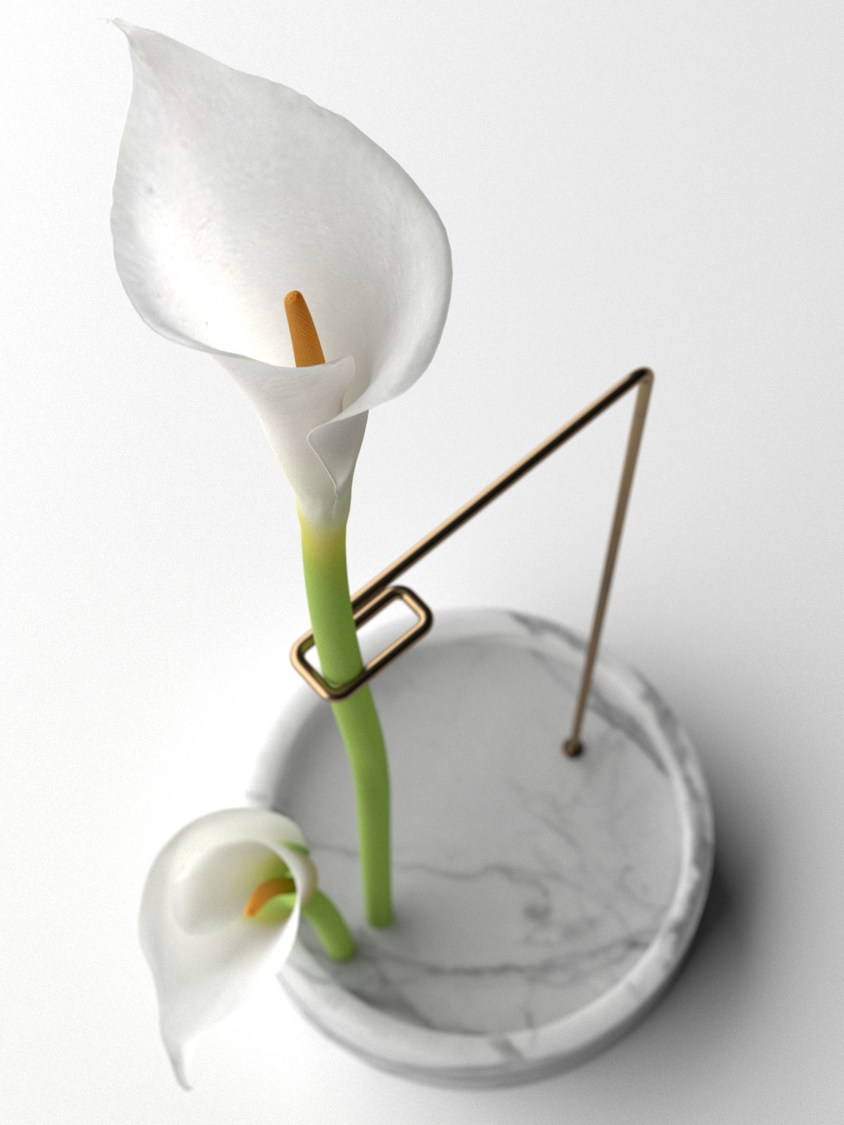 Postures Vase with Calla 3D model_1