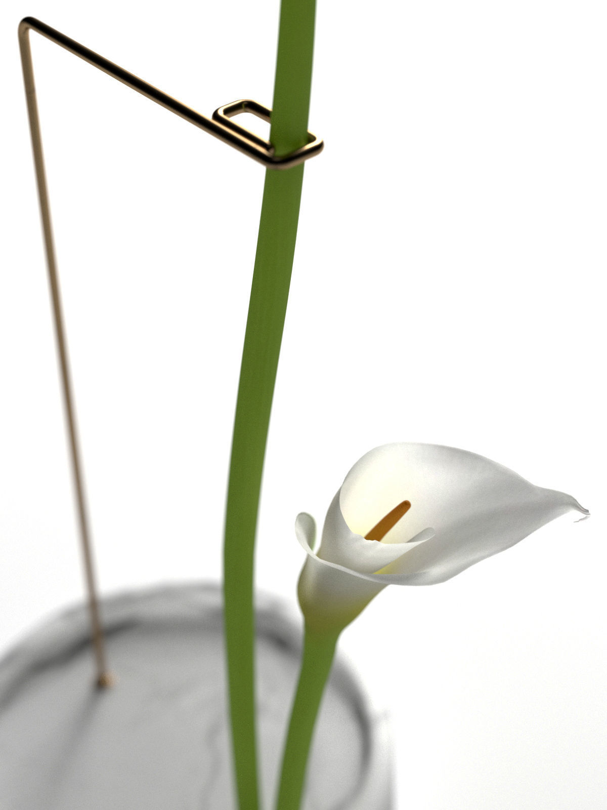 Postures Vase with Calla 3D model_2