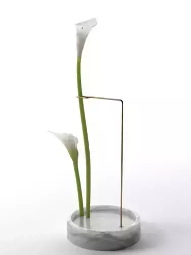 Postures Vase with Calla