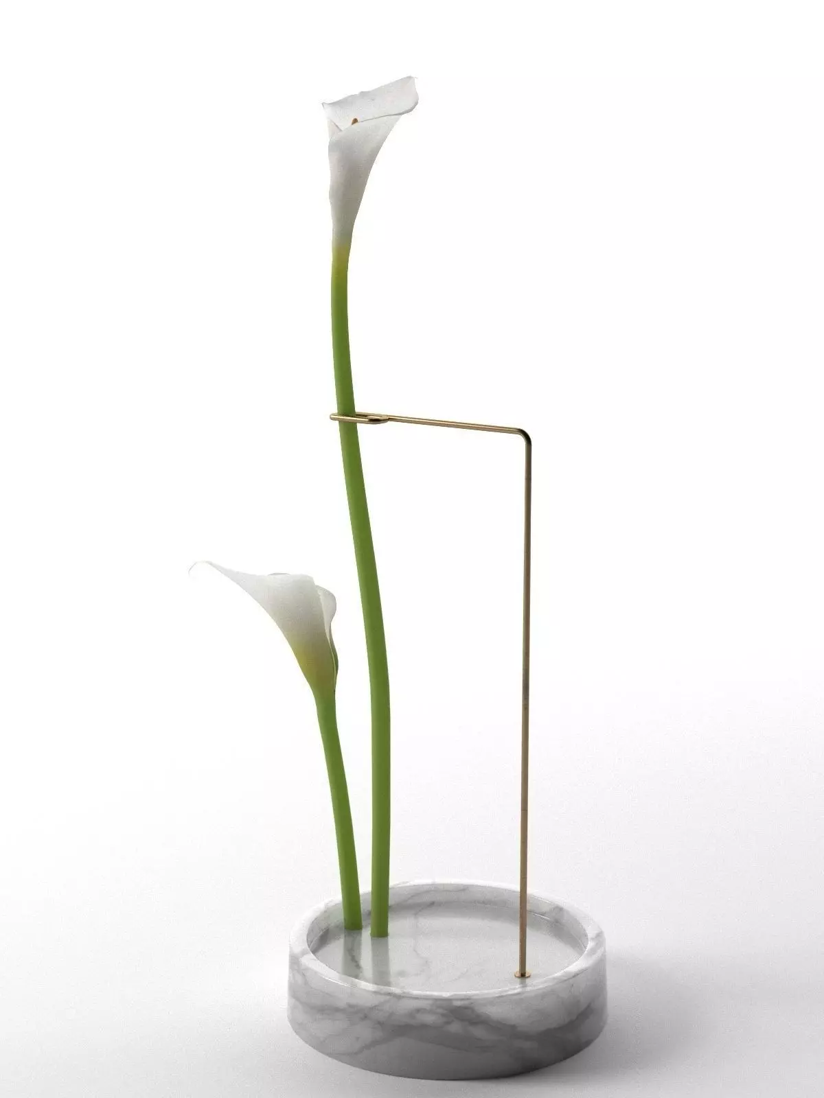 Postures Vase with Calla 3D model_0