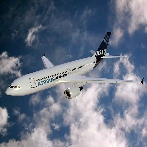 Airbus A310-300 lowpoly commercial airplane  Low-poly 3D model_0