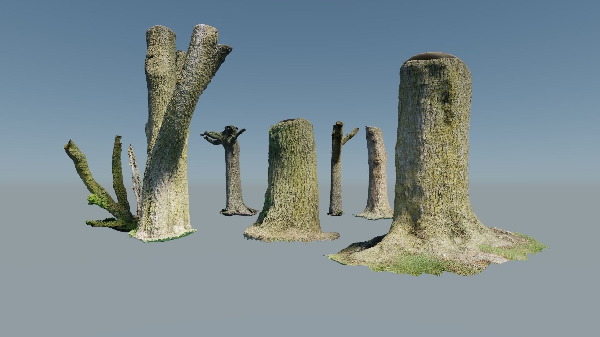 10 Photo Scanned Tree Trunks 3D model_3