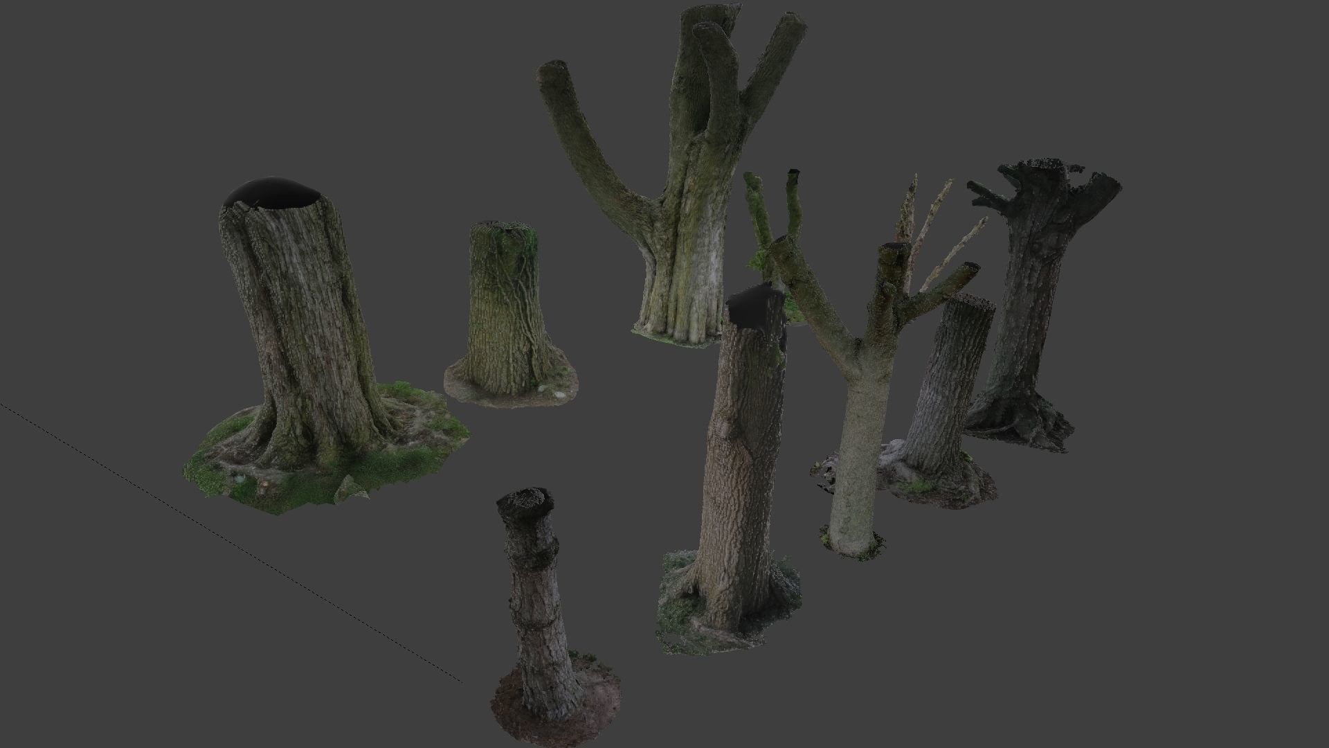 10 Photo Scanned Tree Trunks 3D model_6