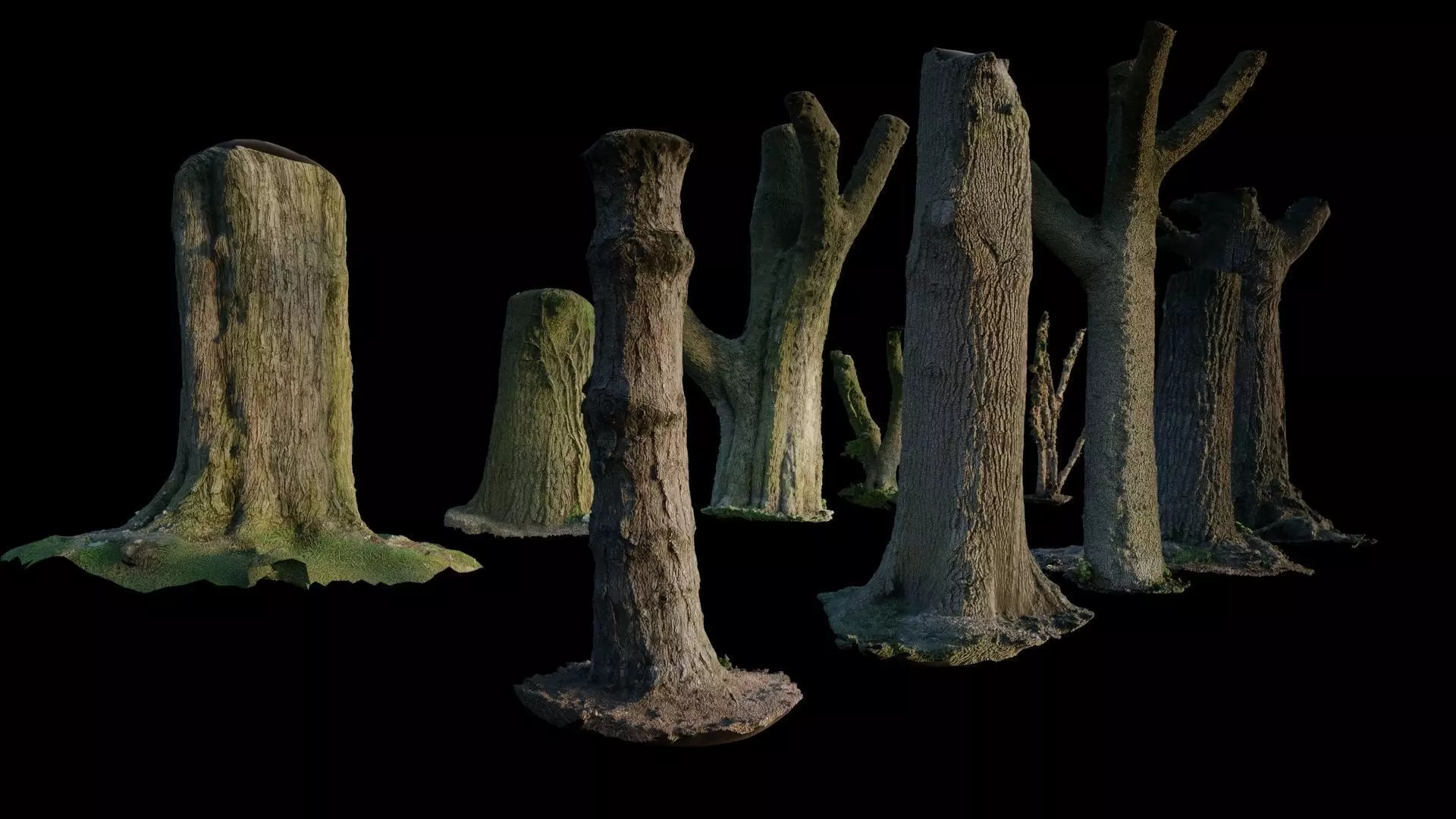 10 Photo Scanned Tree Trunks 3D model_0