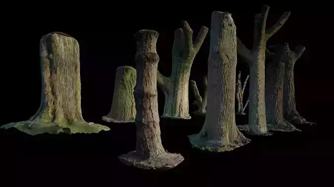 10 Photo Scanned Tree Trunks 3D model