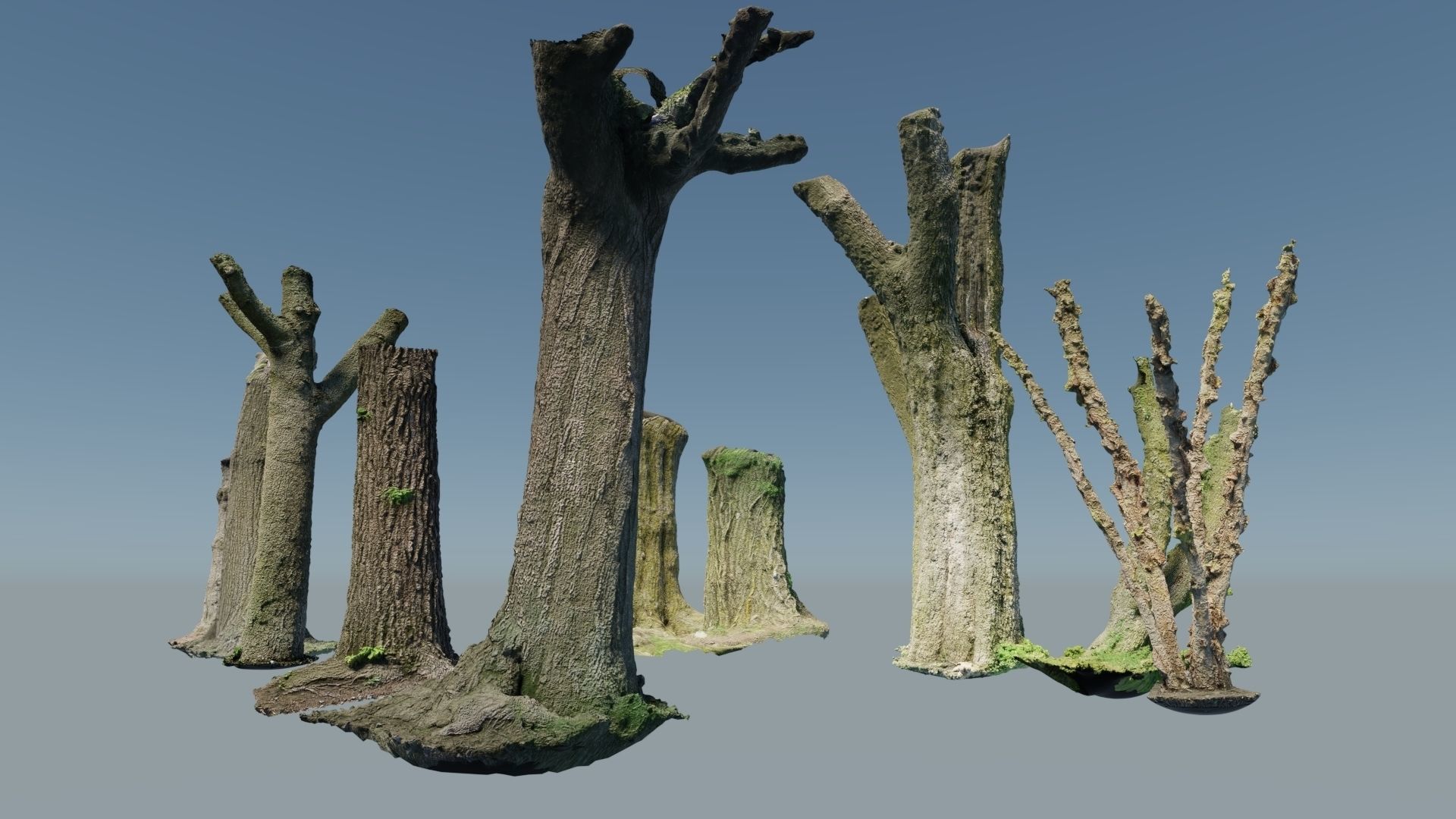 10 Photo Scanned Tree Trunks 3D model_2