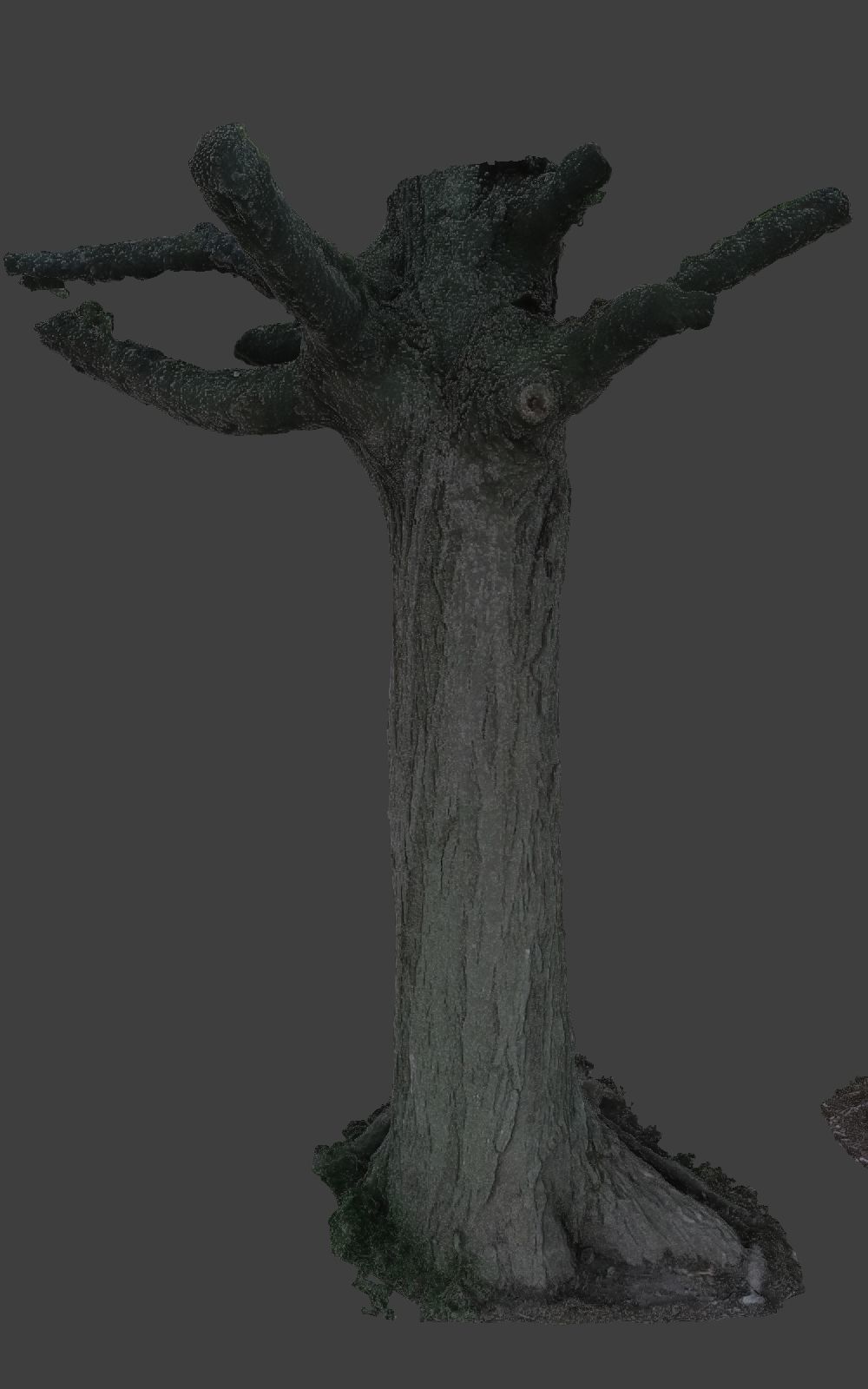 10 Photo Scanned Tree Trunks 3D model_10