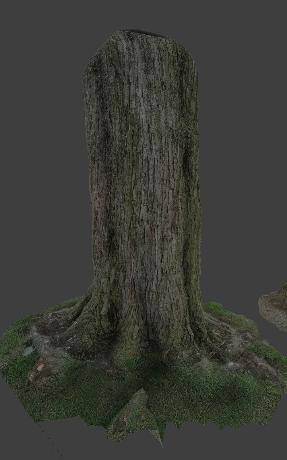 10 Photo Scanned Tree Trunks 3D model_7