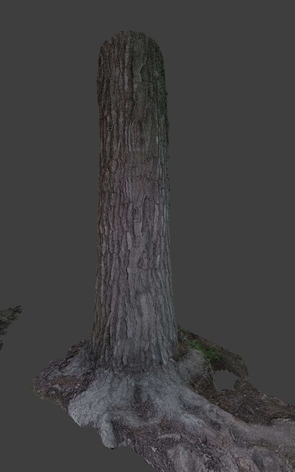 10 Photo Scanned Tree Trunks 3D model_11
