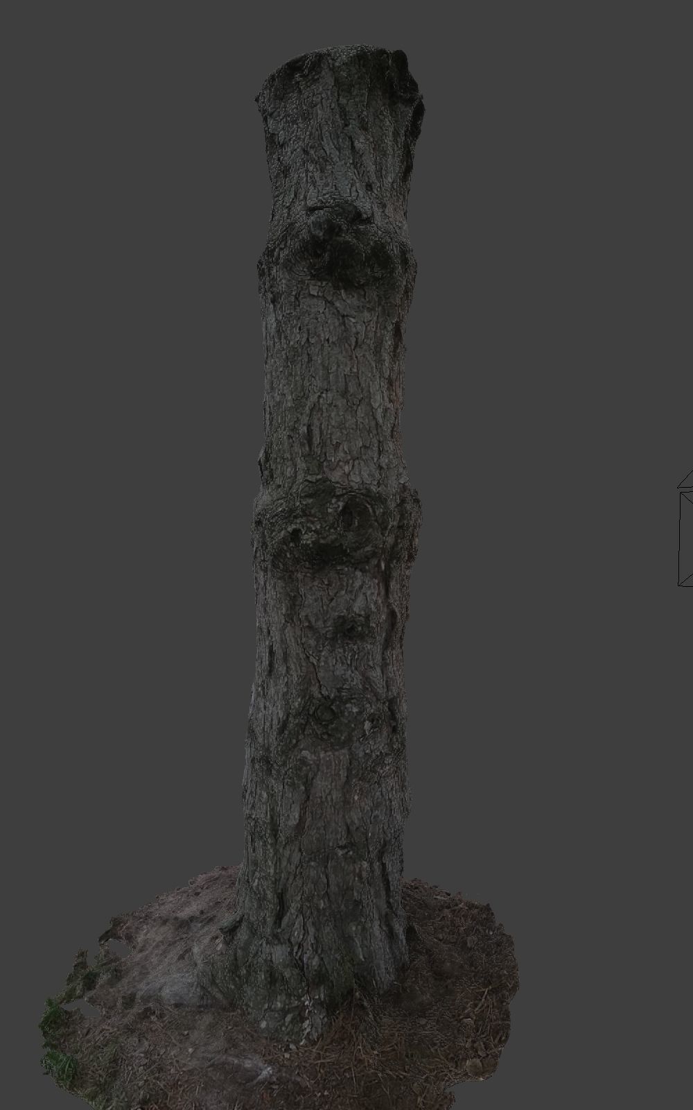 10 Photo Scanned Tree Trunks 3D model_15